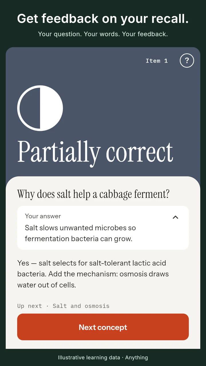 Anything feedback screen showing a partially correct answer about fermentation and feedback explaining the missing mechanism.